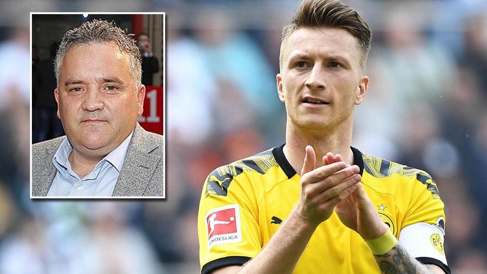 场上能够自 场上能够自